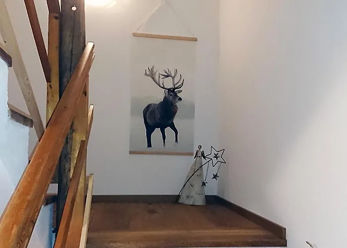 Genuss.haus.fankhauser * تكس